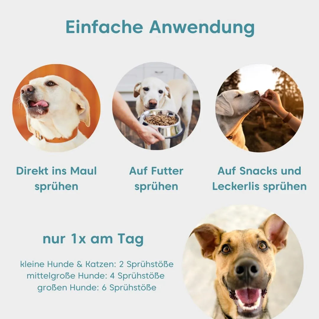 Zahnpflege ohne Zahnpasta und Zahnbürste