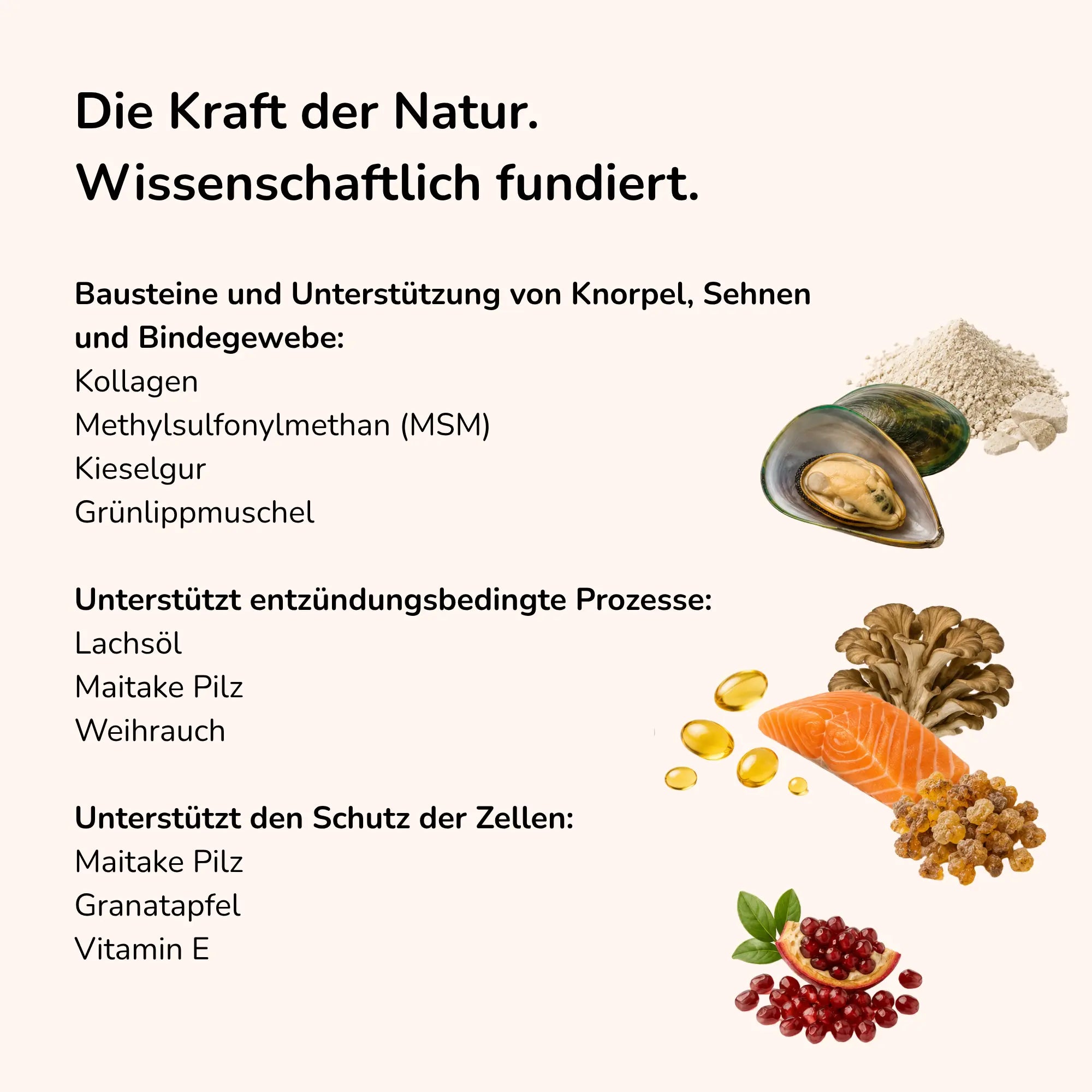 Hüftschwung - Snack