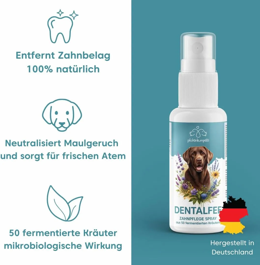 Gegen Zahnstein und Zahnbelag