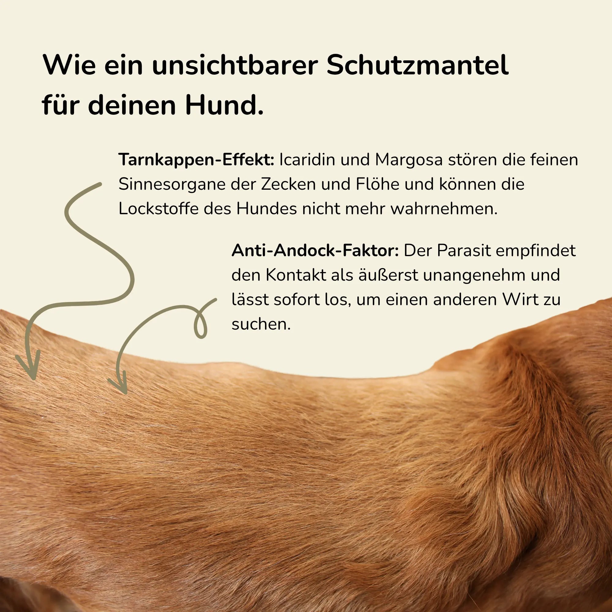 Fellwächter - Zecken Spot-On
