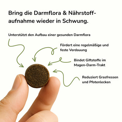 Darmaufbau und Darmsanierung für Hunde