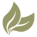 USP Icon