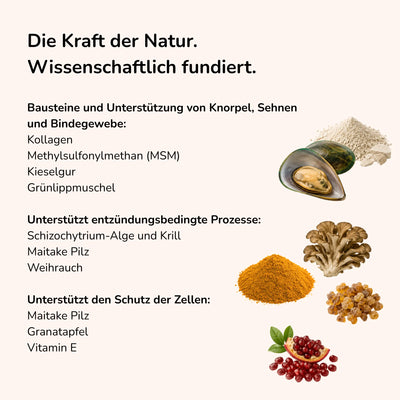 Hüftschwung - Futtertopping