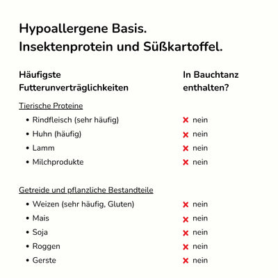 Bauchtanz